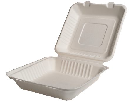Contenitore da asporto con coperchio grande 1250 ml 23,2 x 23,2 x 7,6 cm — 50 pezzi