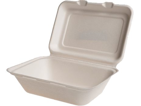Contenitore da asporto con coperchio 600 ml 18 x 13,5 x 6,5 cm — 50 pezzi