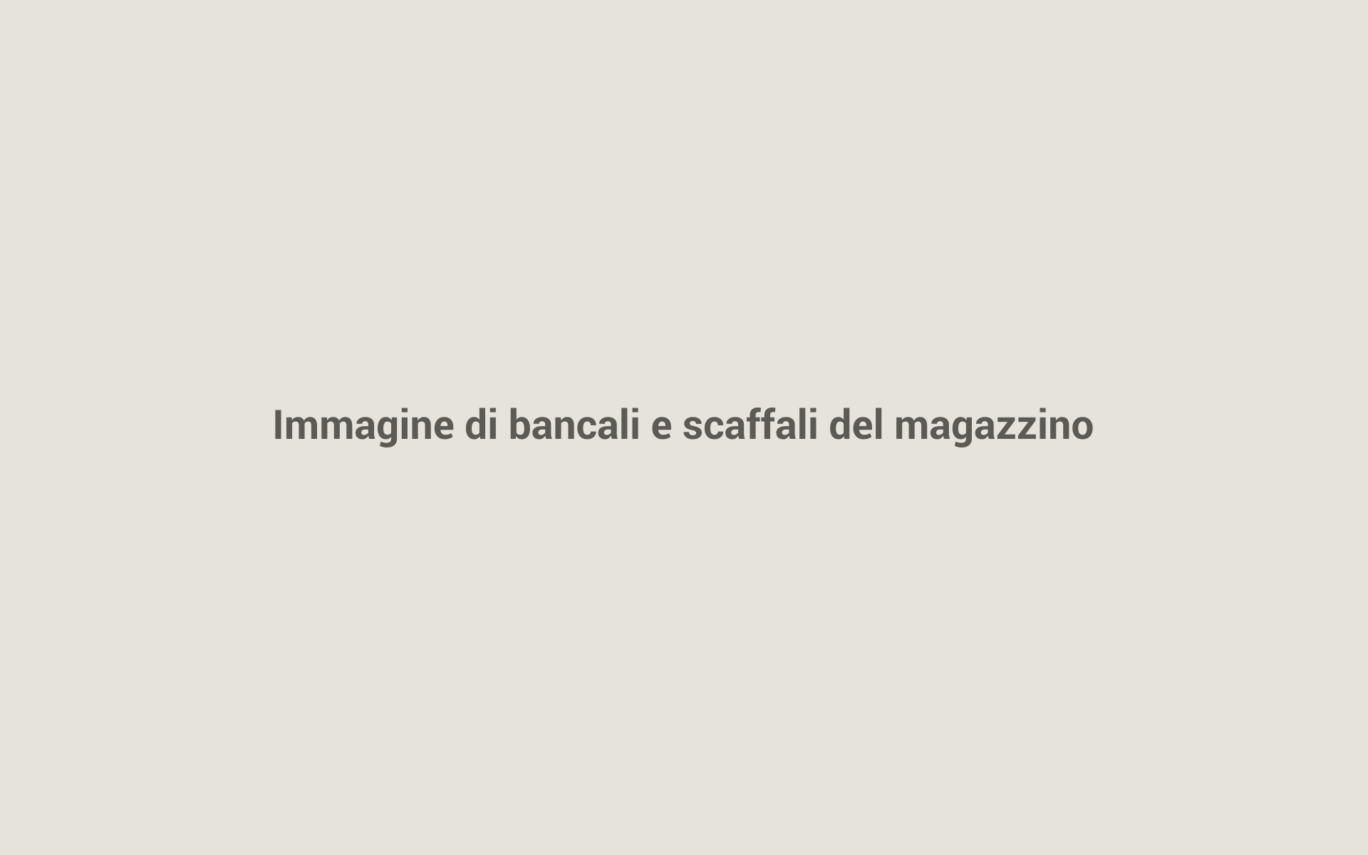 Immagine di bancali e scaffali del magazzino (segnaposto)
